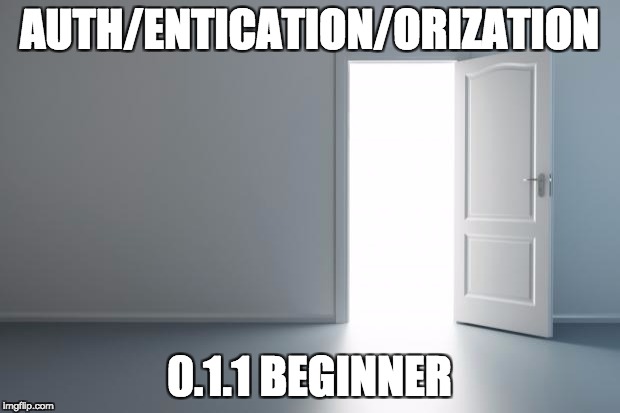 0.1.1 Auth/Entication/Orization Beginner Intro
